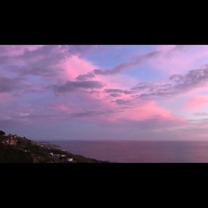 Meet your Posher, Eleanor